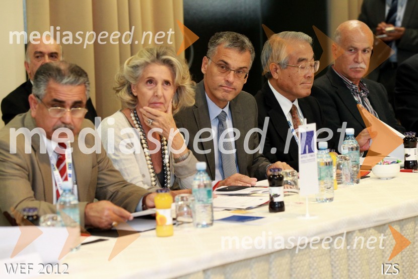 WEF 2012 – World Engineering Forum