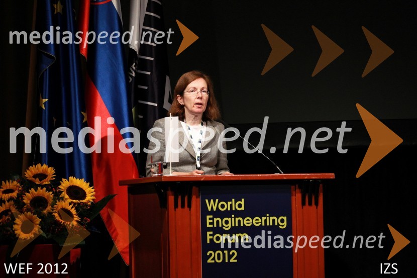 WEF 2012 – World Engineering Forum