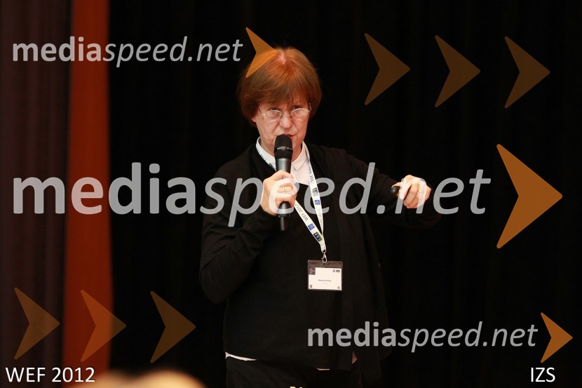 WEF 2012 – World Engineering Forum