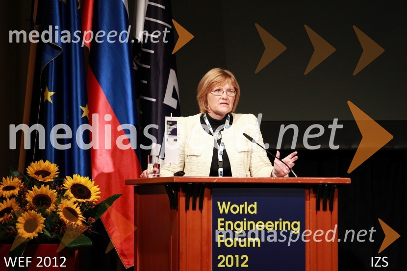 WEF 2012 – World Engineering Forum