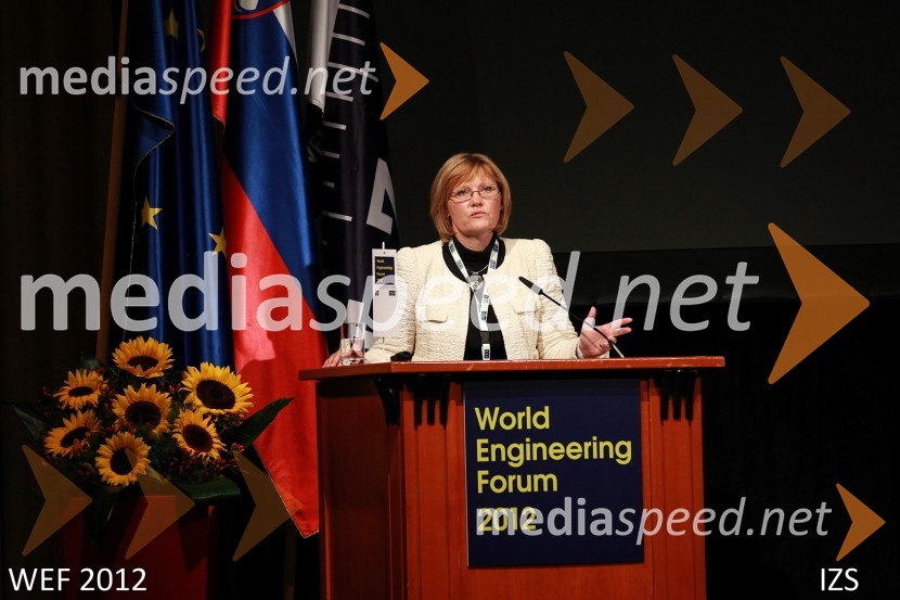 WEF 2012 – World Engineering Forum