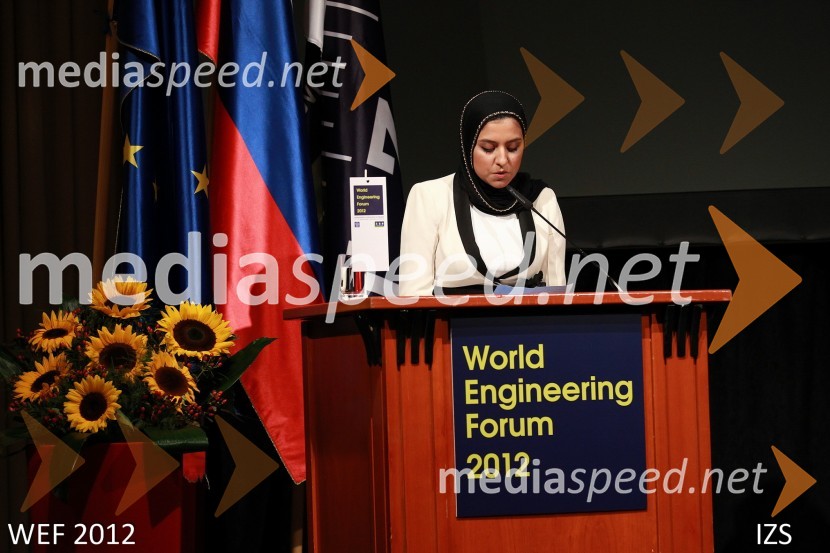 WEF 2012 – World Engineering Forum