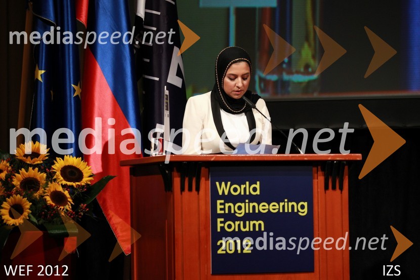 WEF 2012 – World Engineering Forum