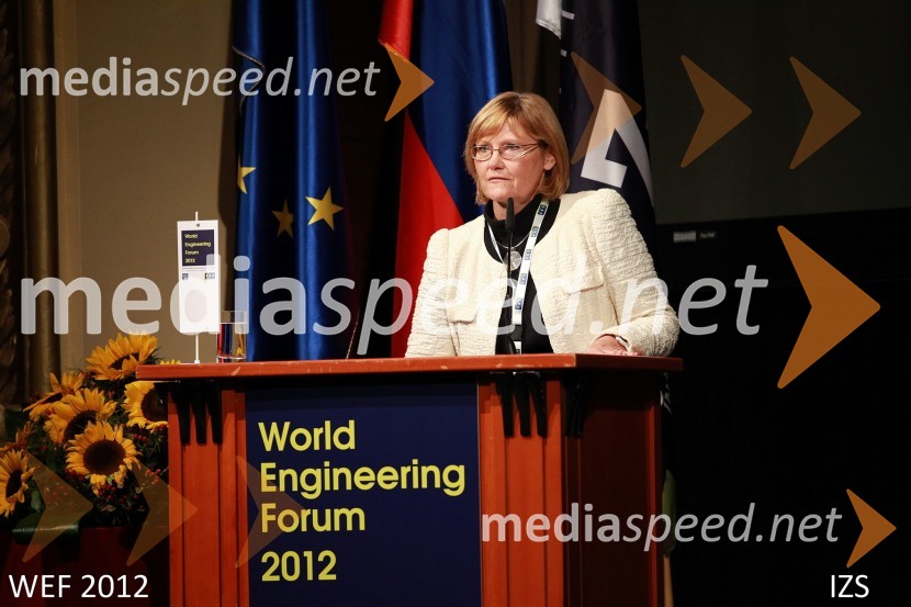 WEF 2012 – World Engineering Forum