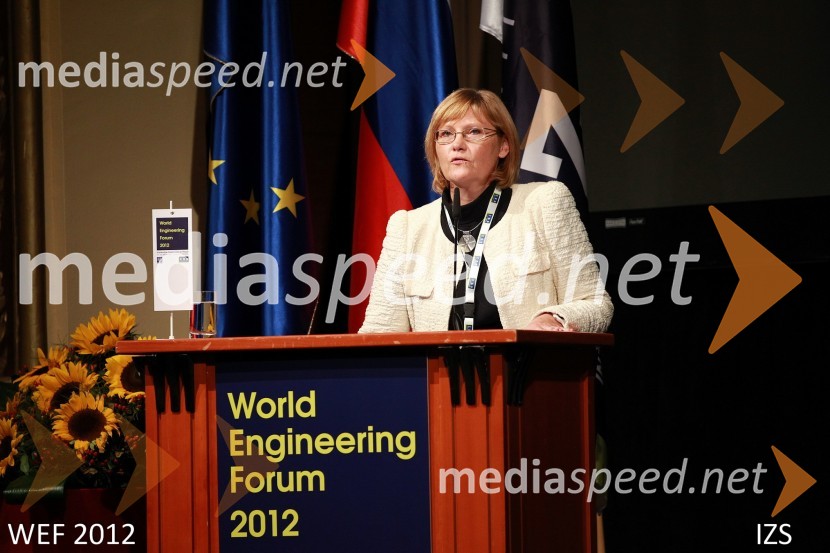 WEF 2012 – World Engineering Forum