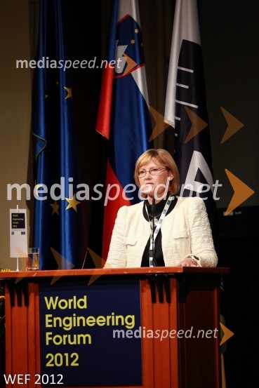WEF 2012 – World Engineering Forum