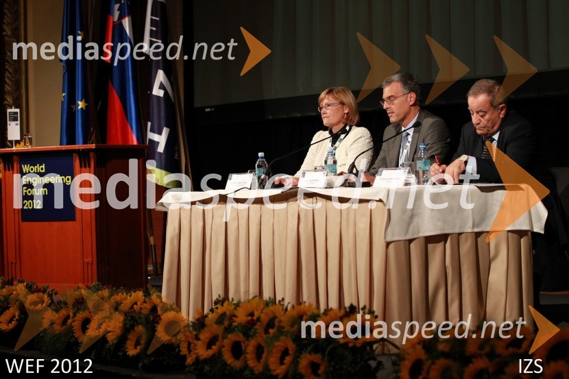 WEF 2012 – World Engineering Forum