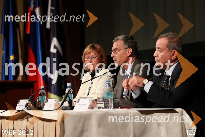 WEF 2012 – World Engineering Forum