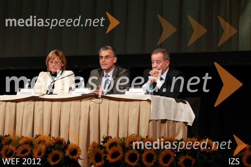 WEF 2012 – World Engineering Forum