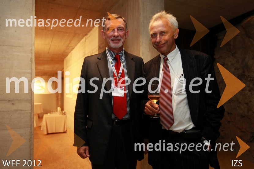 WEF 2012 – World Engineering Forum