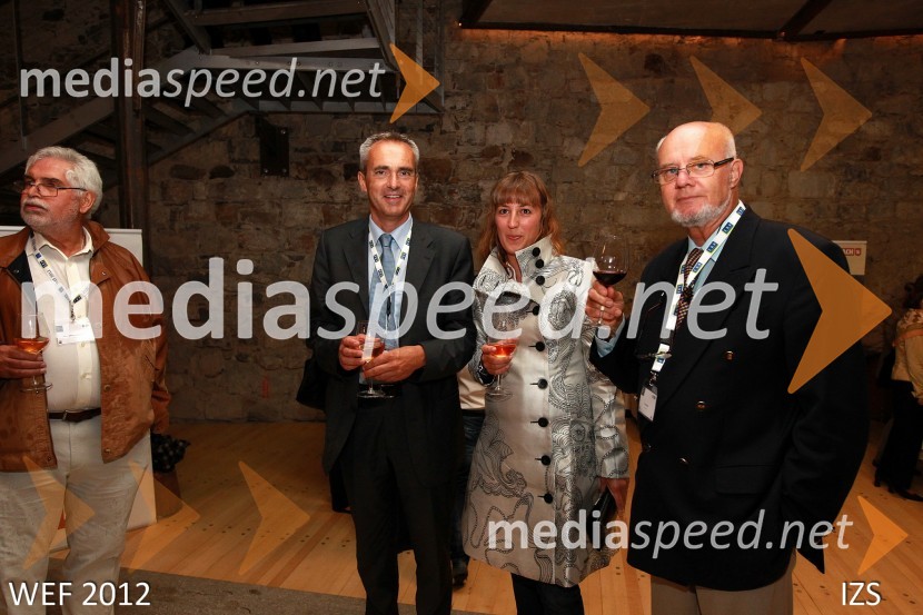 WEF 2012 – World Engineering Forum