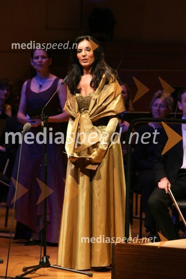 Biljana Weber, MBA generalna direktorica IBM SlovenijaMenedžerski koncert