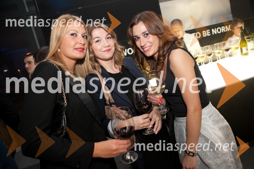 ObiskovalkeMINI party