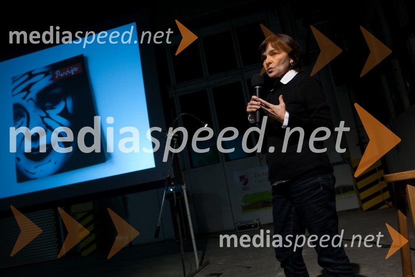 Zora StančičPecha Kucha v Riko Hišah