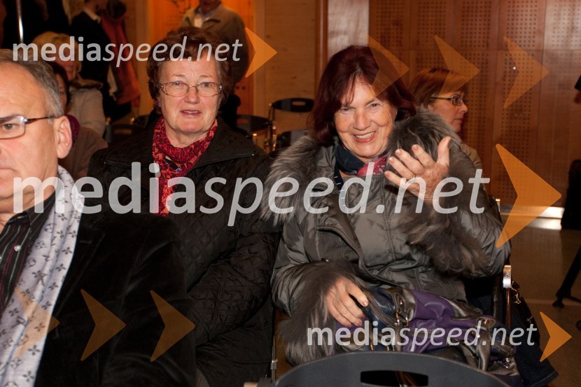 ObiskovalciAli Žerdin in Aleksander Lucu, pogovor o omrežjih moči