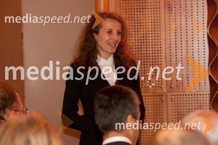 Polona Lovšin, Riko d.o.o.Ali Žerdin in Aleksander Lucu, pogovor o omrežjih moči