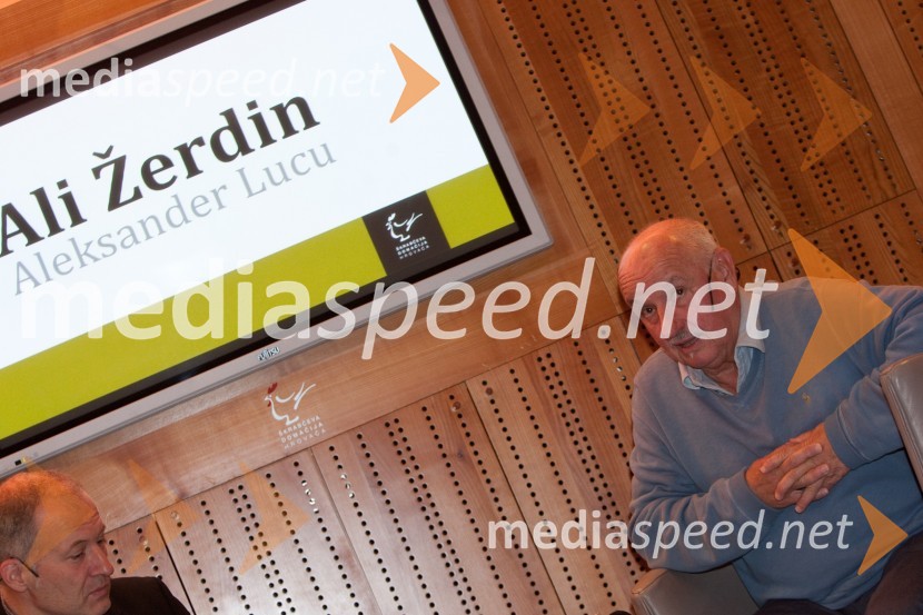 Aleksander Lucu Luc, novinarAli Žerdin in Aleksander Lucu, pogovor o omrežjih moči