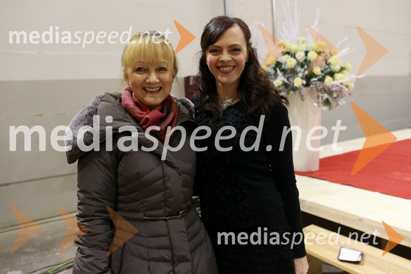 ...; Tajda Lekše, povezovalkaPredaja lesene modularne hiše Katji Koletnik in predstavitev del Alena Ožbolta na razstavi Dve strani dotika