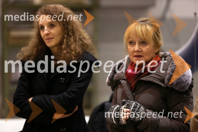 Predaja lesene modularne hiše Katji Koletnik in predstavitev del Alena Ožbolta na razstavi Dve strani dotika