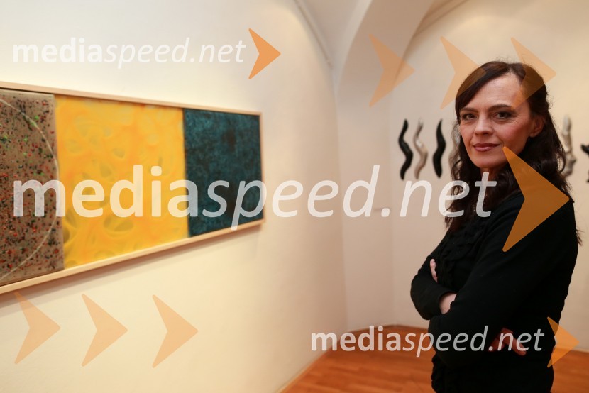 	Tajda Lekše, povezovalkaPredaja lesene modularne hiše Katji Koletnik in predstavitev del Alena Ožbolta na razstavi Dve strani dotika