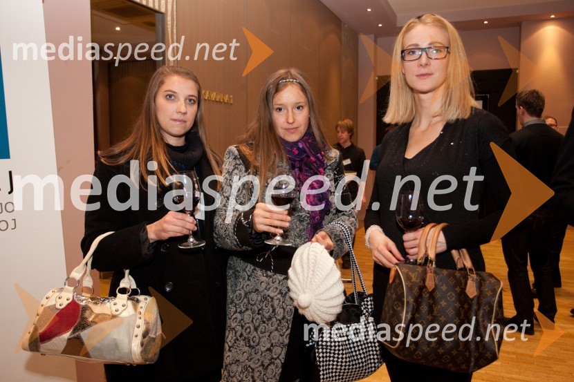 	Udeleženci konferenceMreža Idej, okrogla miza Slovenija 2013: Priložnosti in izzivi