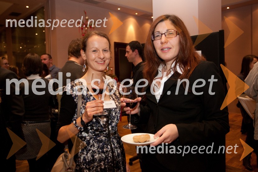 	Udeleženci konferenceMreža Idej, okrogla miza Slovenija 2013: Priložnosti in izzivi