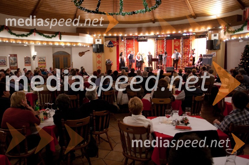 Večer Franca KoširjaVečer Franca Koširja pod Avsenikovo marelo