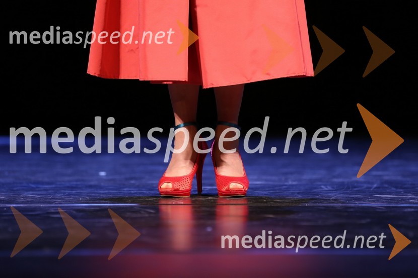 Čevlji Eve Longyka MarušičSlovenka leta 2012 je Urška Žolnir