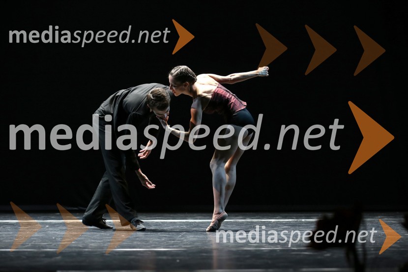 Catarina de Meneses; Matjaž Marin; solista Baleta SNG MariborSlovenka leta 2012 je Urška Žolnir