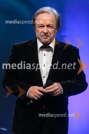 Alfi Nipič, pevecKoncert ob 60 letnici delovanja ansambla Avsenik