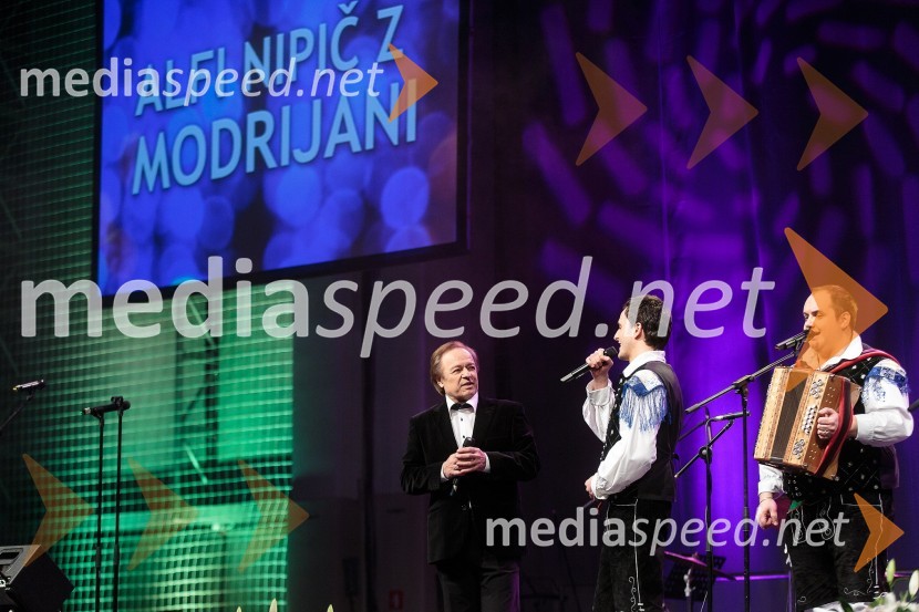 Alfi Nipič, pevec; Blaž Švab, član skupine Modrijani; Rok Švab, član skupine ModrijaniKoncert ob 60 letnici delovanja ansambla Avsenik