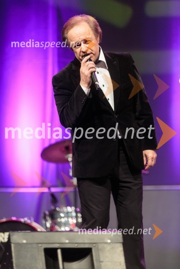 Alfi Nipič, pevecKoncert ob 60 letnici delovanja ansambla Avsenik