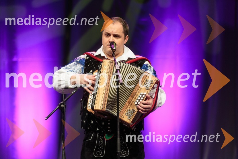 Rok Švab, član skupine ModrijaniKoncert ob 60 letnici delovanja ansambla Avsenik