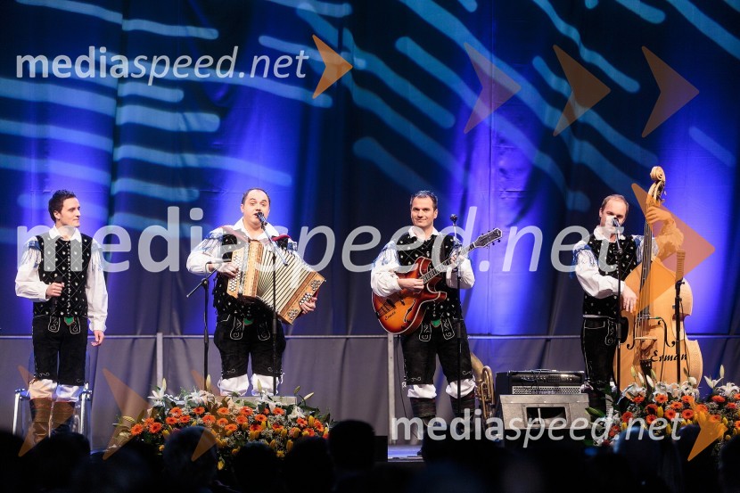 Ansambel ModrijaniKoncert ob 60 letnici delovanja ansambla Avsenik