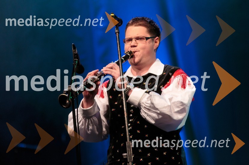 Član ansambla Saša AvsenikaKoncert ob 60 letnici delovanja ansambla Avsenik