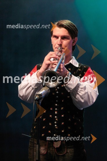 Član ansambla Saša AvsenikaKoncert ob 60 letnici delovanja ansambla Avsenik