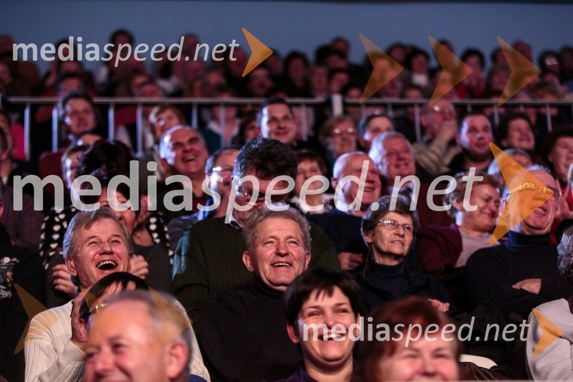 GledalciKoncert ob 60 letnici delovanja ansambla Avsenik