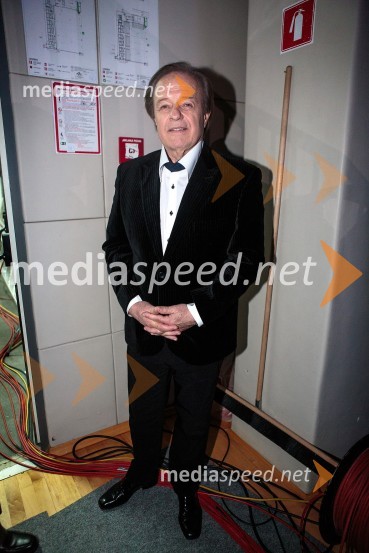 Alfi Nipič, pevecKoncert ob 60 letnici delovanja ansambla Avsenik