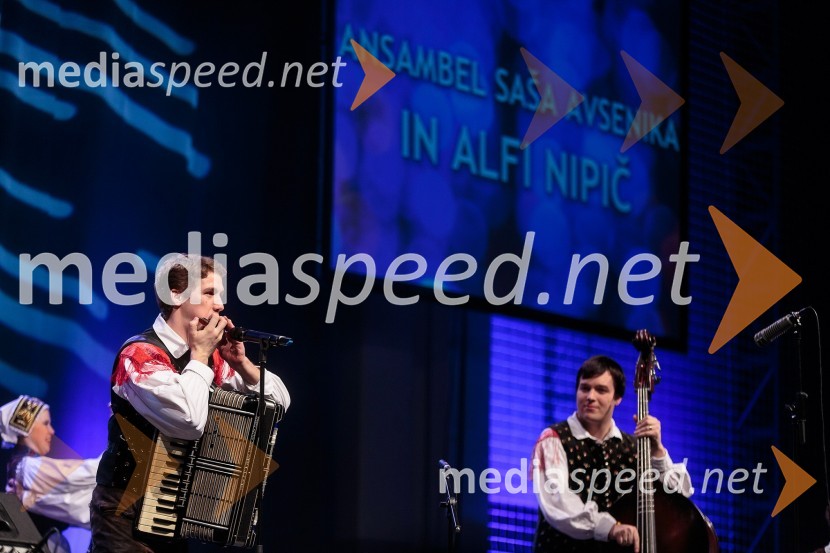 Saša Avsenik, glasbenikKoncert ob 60 letnici delovanja ansambla Avsenik