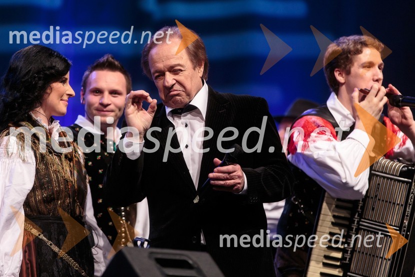 Alfi Nipič, pevec; Ansambel Saša AvsenikaKoncert ob 60 letnici delovanja ansambla Avsenik