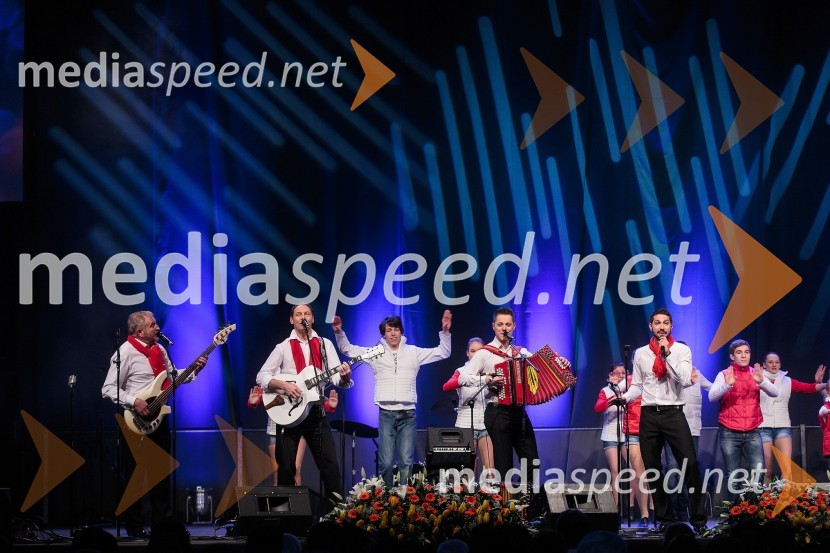 Skupina ČukiKoncert ob 60 letnici delovanja ansambla Avsenik