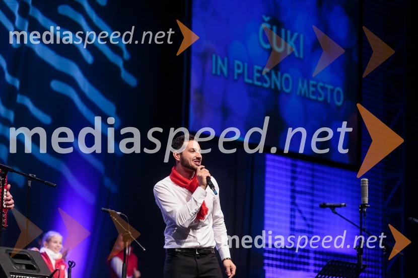 Jernej Tozon, skupina ČukiKoncert ob 60 letnici delovanja ansambla Avsenik