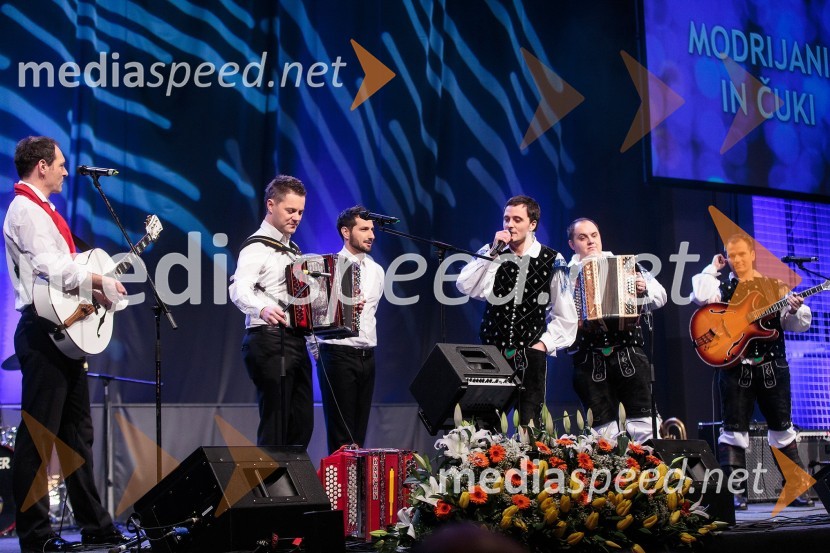 Skupina Čuki; ansambel ModrijaniKoncert ob 60 letnici delovanja ansambla Avsenik