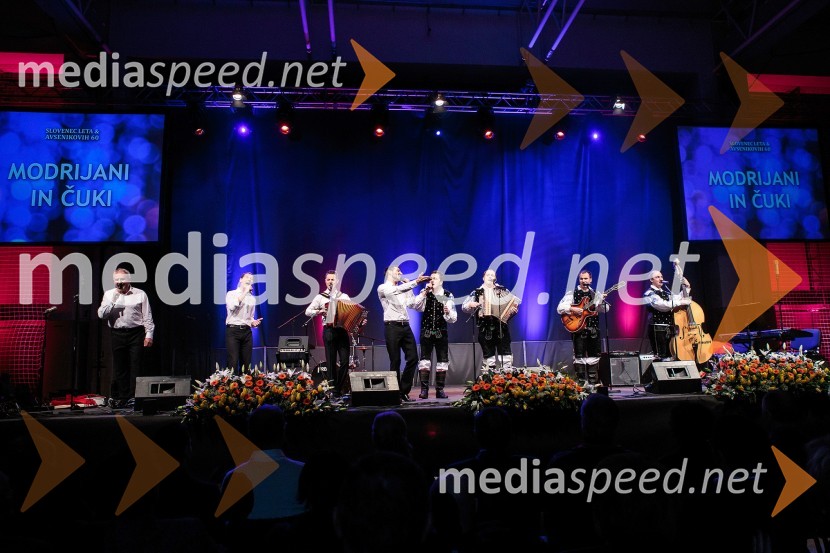 Skupina Čuki; ansambel ModrijaniKoncert ob 60 letnici delovanja ansambla Avsenik
