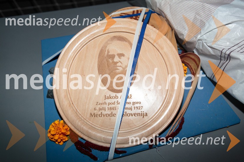 Koncert ob 60 letnici delovanja ansambla Avsenik