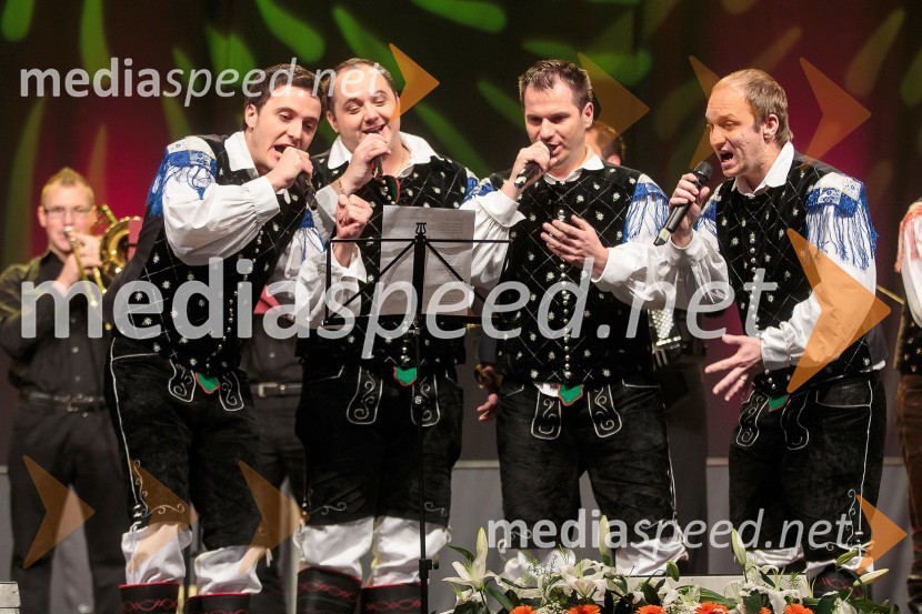 Ansambel ModrijaniKoncert ob 60 letnici delovanja ansambla Avsenik