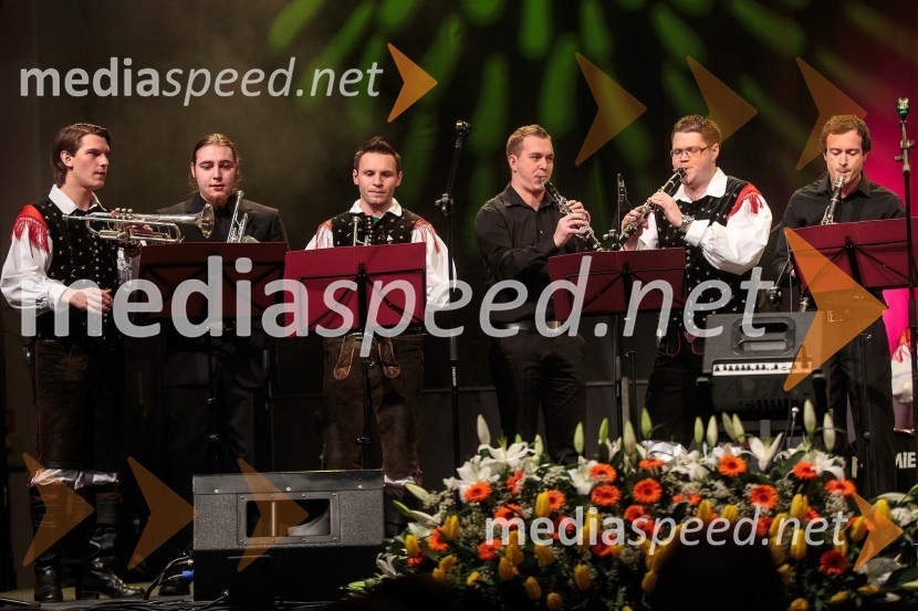 Ansambel Saša AvsenikaKoncert ob 60 letnici delovanja ansambla Avsenik