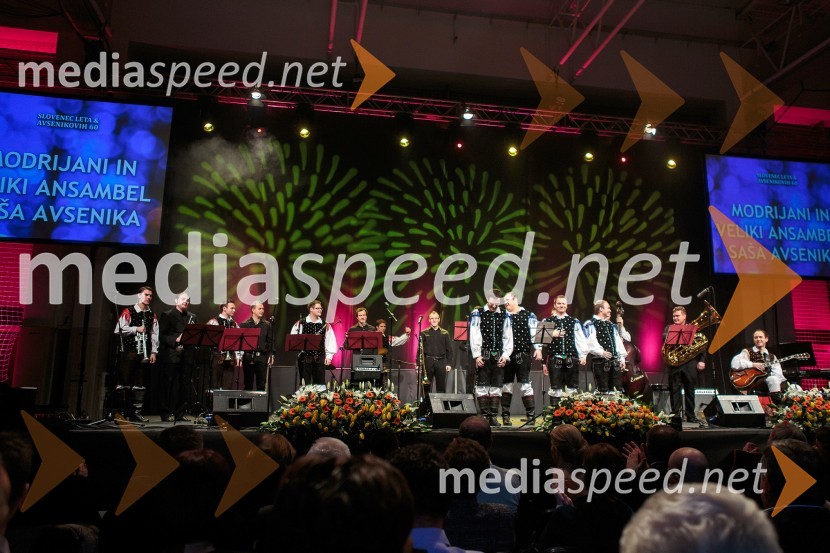 Ansambel Saša Avsenika; ansambel ModrijaniKoncert ob 60 letnici delovanja ansambla Avsenik
