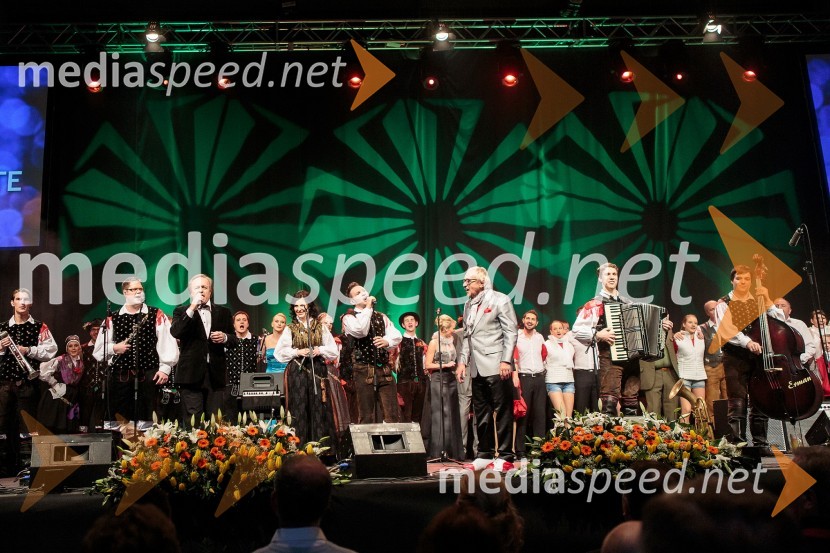 Vsi nastopajočiKoncert ob 60 letnici delovanja ansambla Avsenik