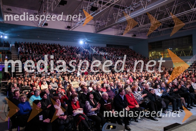ObčinstvoKoncert ob 60 letnici delovanja ansambla Avsenik